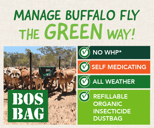 Bos Bags